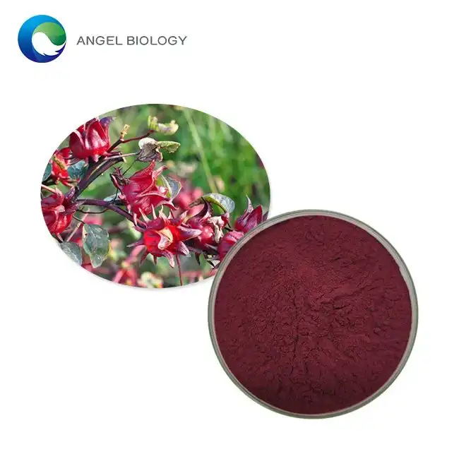 Unlock Roselle Extract Powder's Health Benefits: A Complete Guide to Weight Management and Digestion